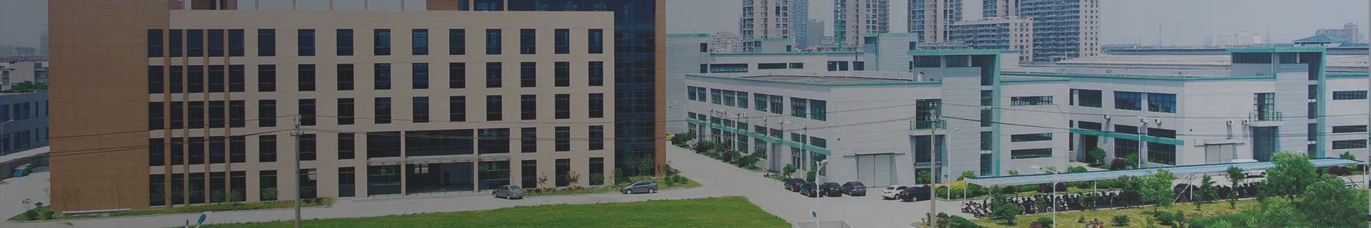 Company Profile